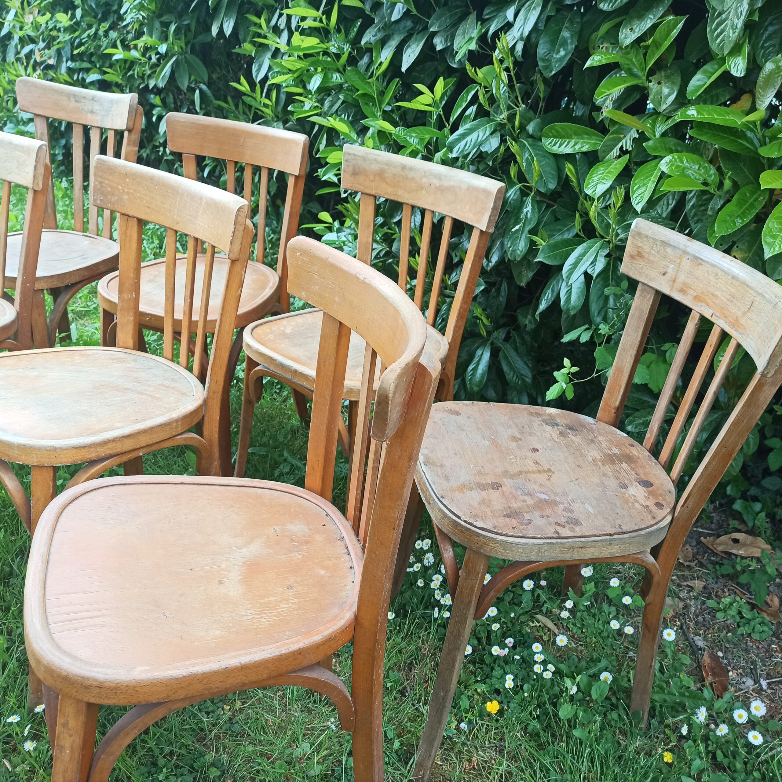 Chaises bistrot vintage Baumann Luterma Mahieu – Image 3