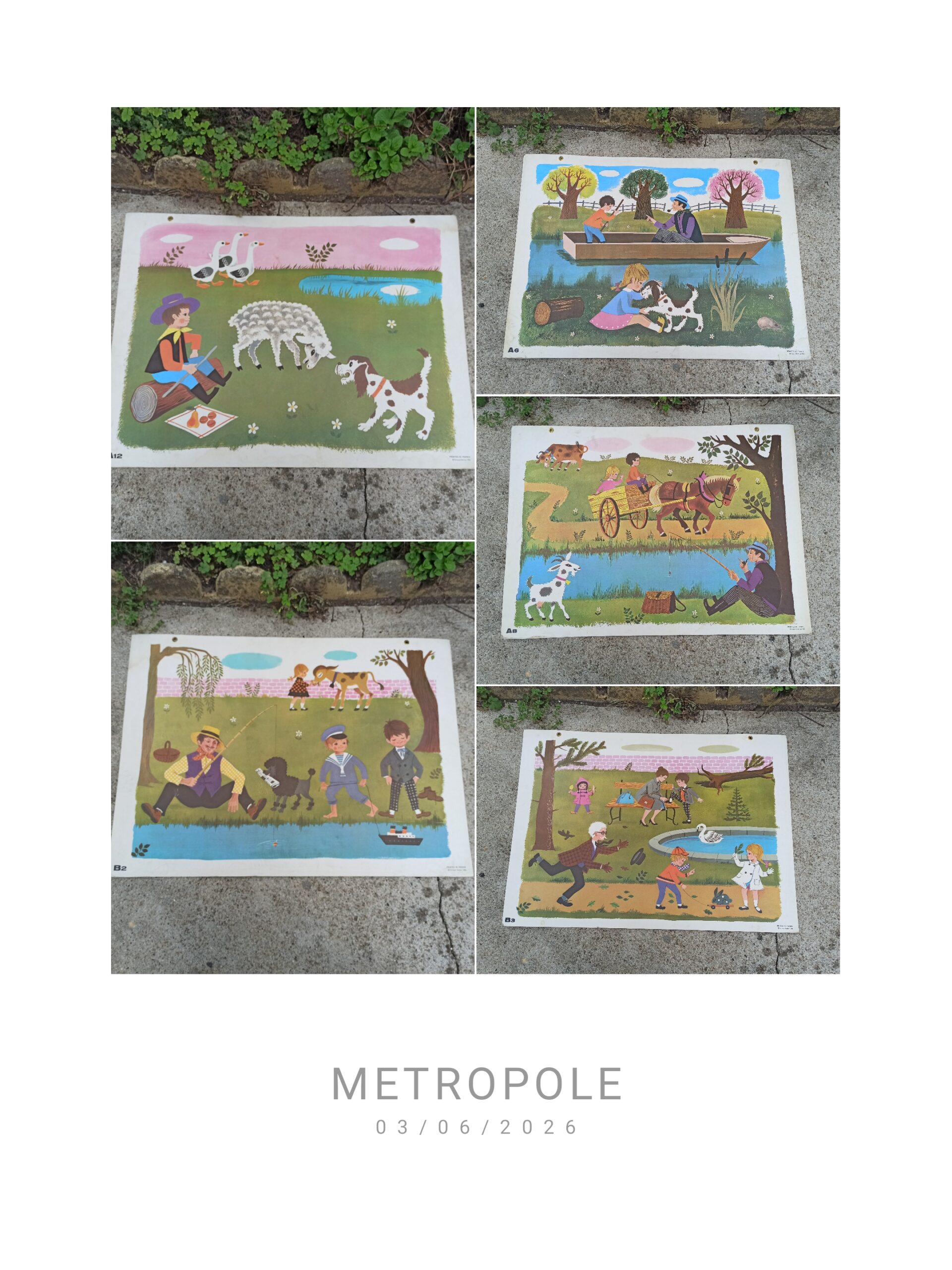 Affiches scolaires