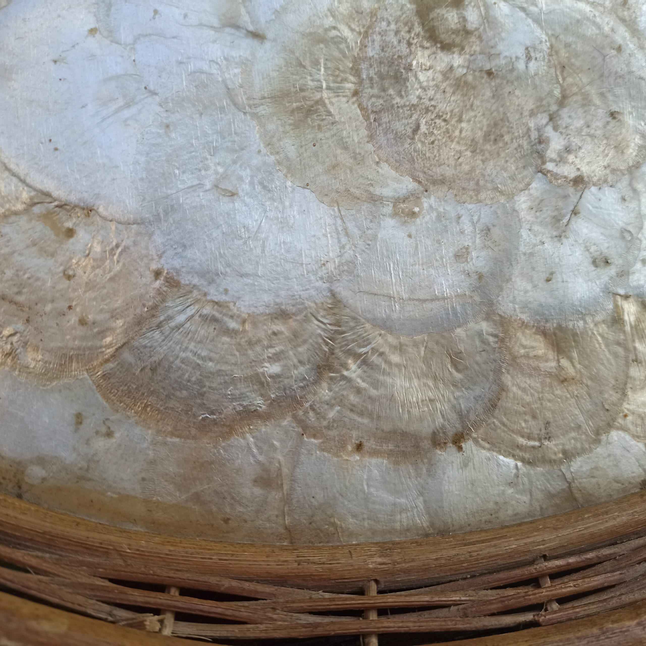 Plateau nacre rotin – Image 3
