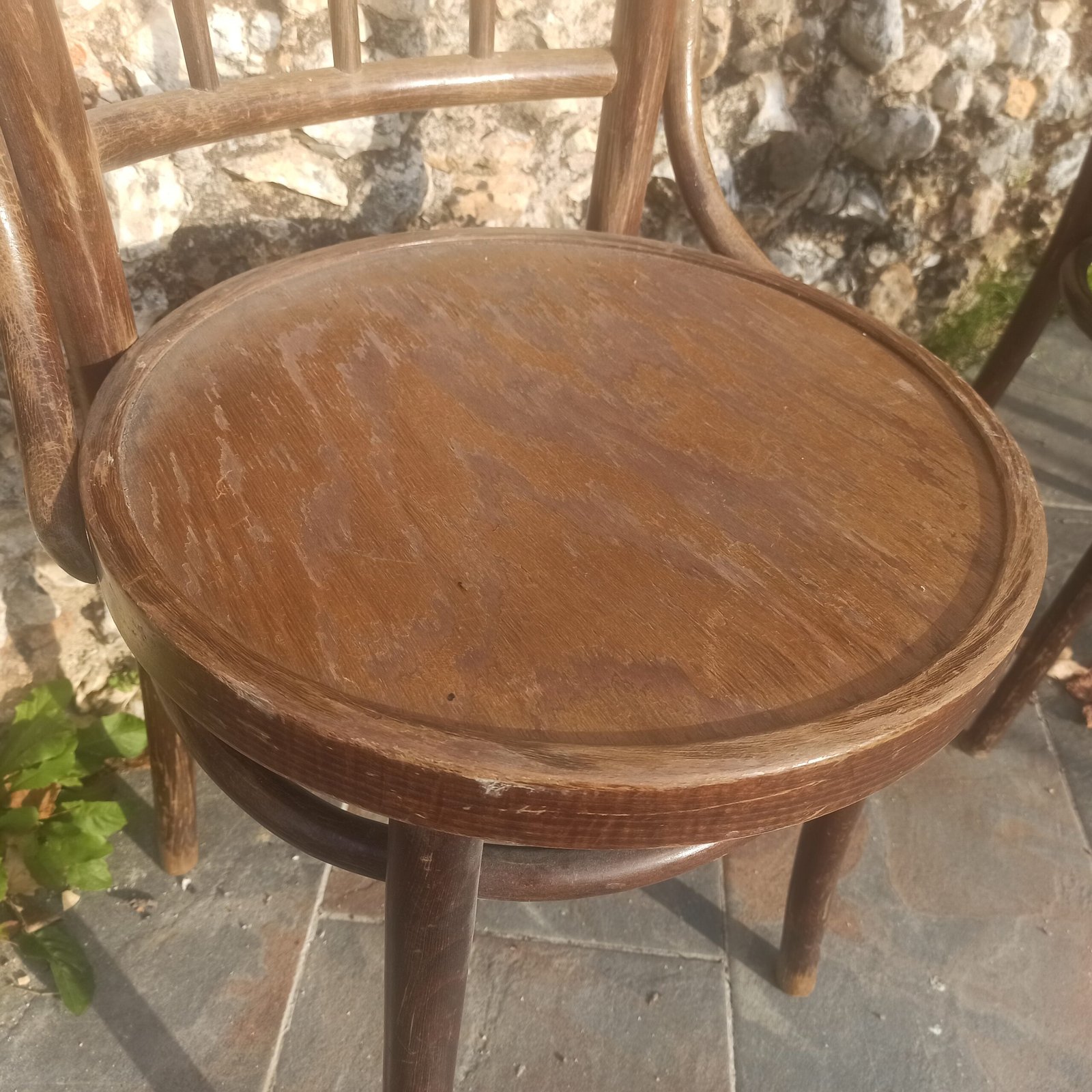 Duo chaises style Thonet – Image 3
