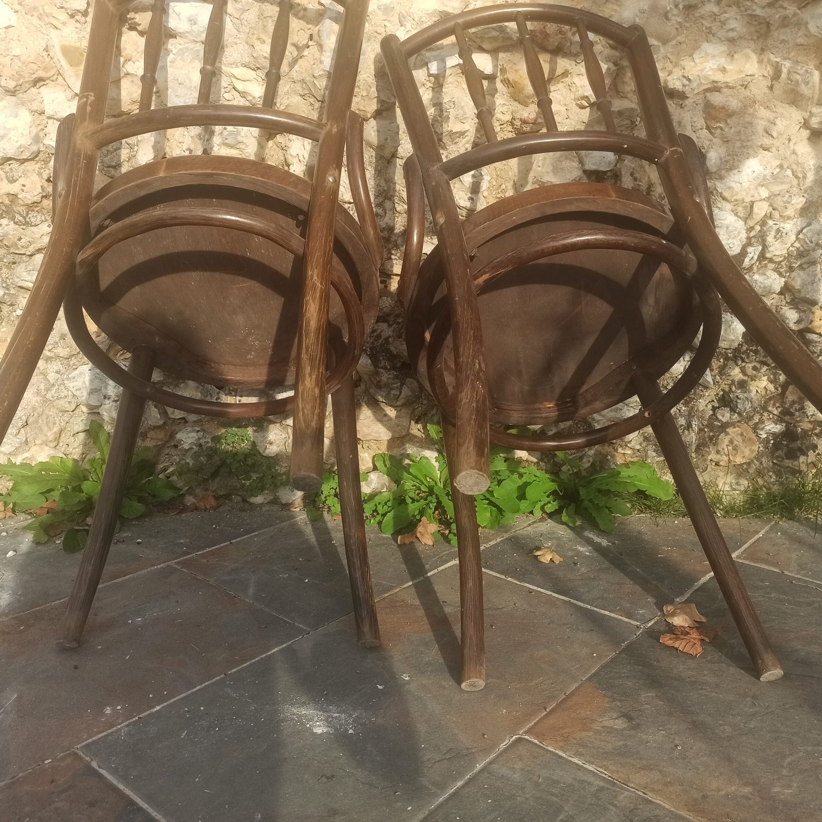 Duo chaises style Thonet – Image 5